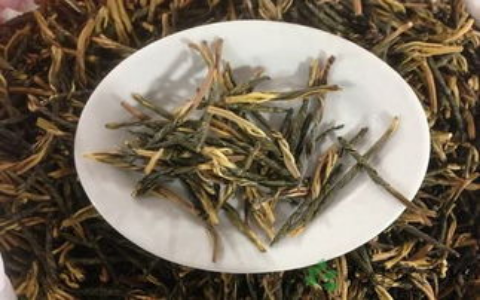 苦丁茶有什么作用和功效（苦丁茶）